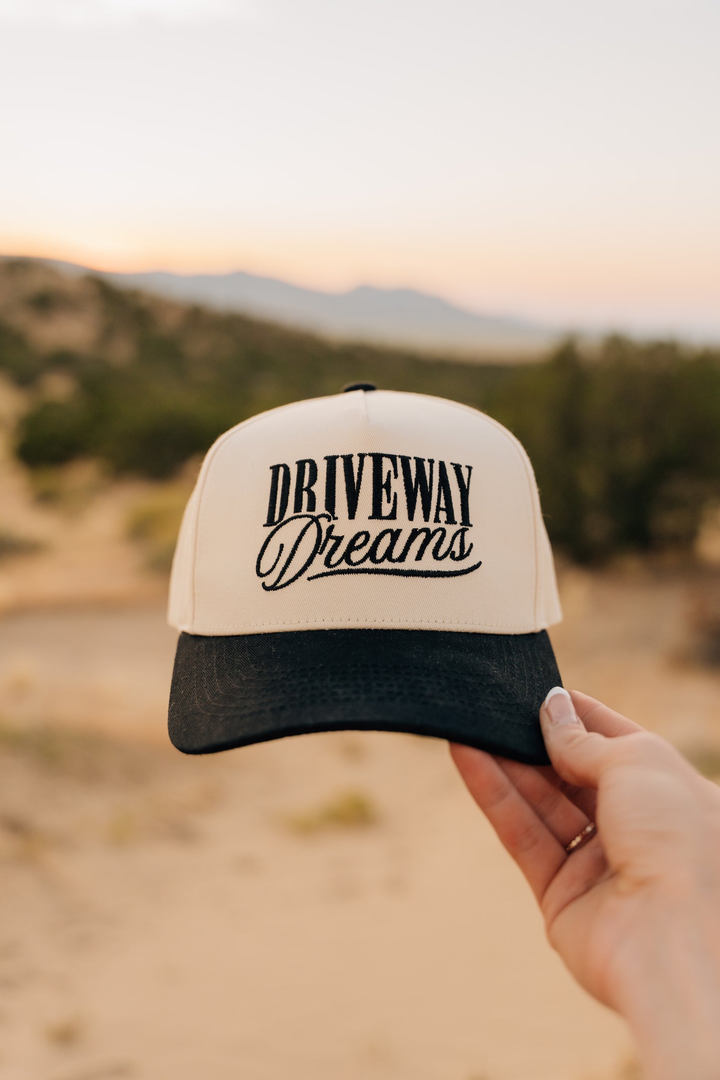 DRIVEWAY DREAMS